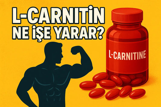 L-carnitin Ne İşe Yarar?