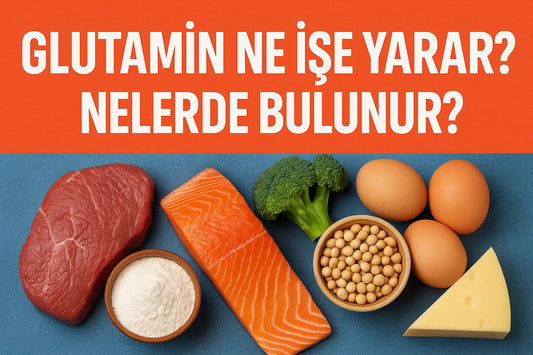 Glutamin Ne İşe Yarar? Nelerde Bulunur?