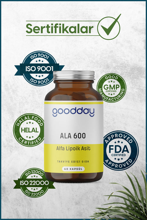 GOODDAY ALFA LİPOİK ASİT (ALA600)  60 KAPSÜL TAKVİYE EDİCİ GIDA